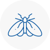 Moth Control Specialists In Cranbrook